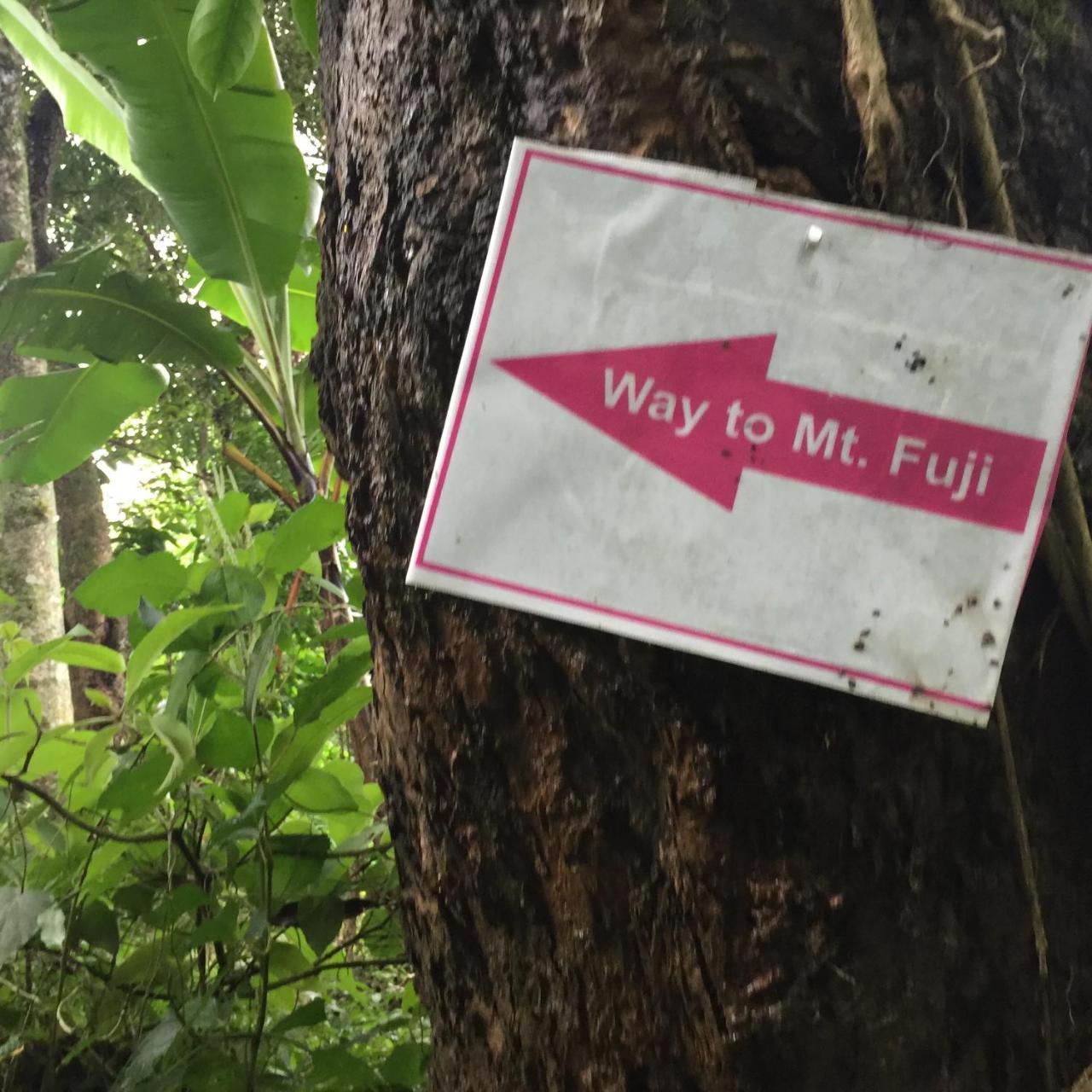 Mount Fuji Homestay Deorāli Kültér fotó