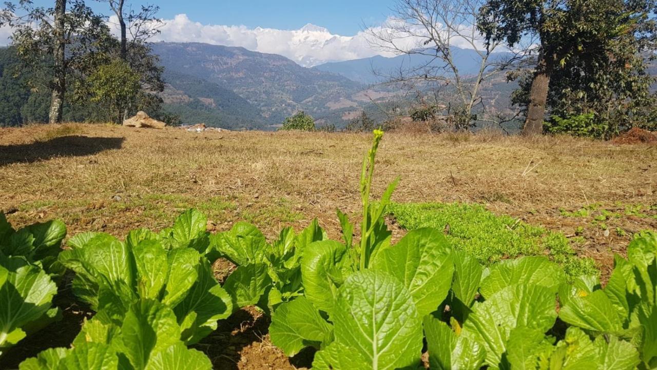 Mount Fuji Homestay Deorāli Kültér fotó